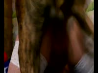 Big dog dick wrecking and banging a lady's pussy